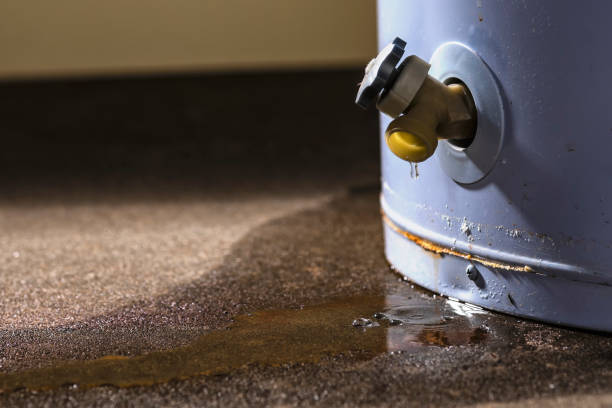 Best Commercial water damage restoration  in Charleston, MO