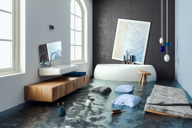 Best Water damage contractors near me  in Charleston, MO