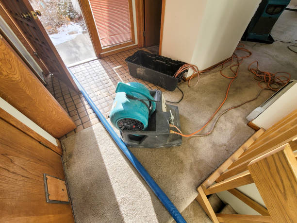 Best Local water damage restoration  in Charleston, MO