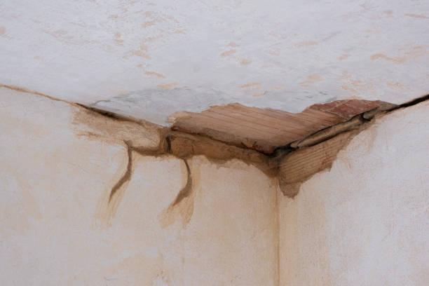 Best Sewage cleanup and water damage restoration  in Charleston, MO