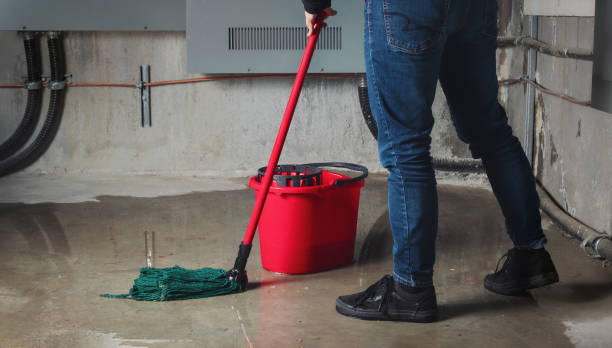 Best Carpet water damage restoration  in Charleston, MO
