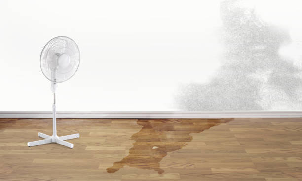 Reliable MO Water damage restoration Solutions
