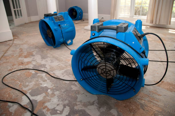 Best Water damage contractors near me  in Charleston, MO