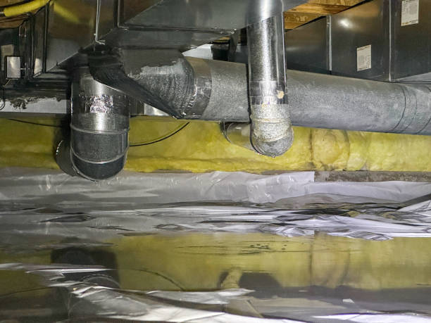 Best Fire Damage Restoration  in Charleston, MO