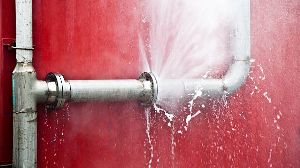 Best Water damage cleanup near me  in Charleston, MO