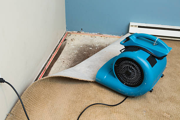 24/7 water damage repair in MO